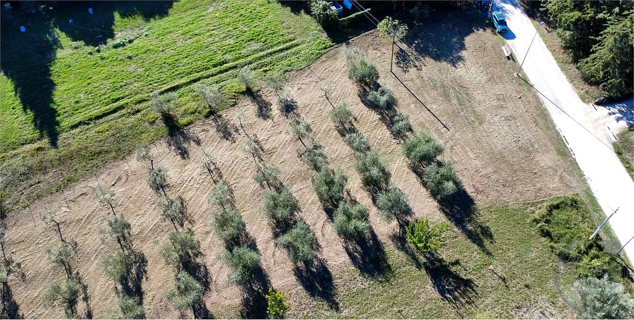 TODI - ROMAZZANO - TERRENO EDIFICABILE