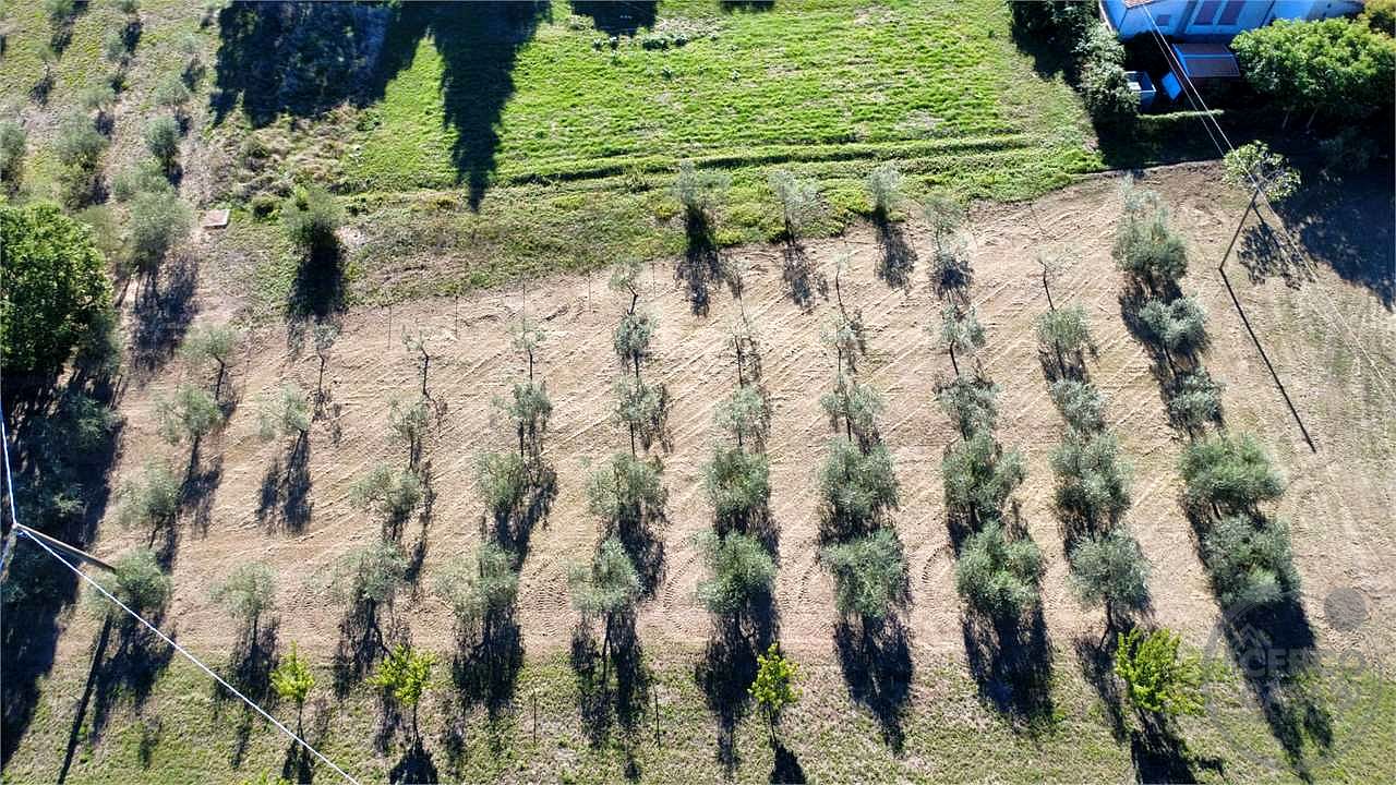 TODI - ROMAZZANO - TERRENO EDIFICABILE