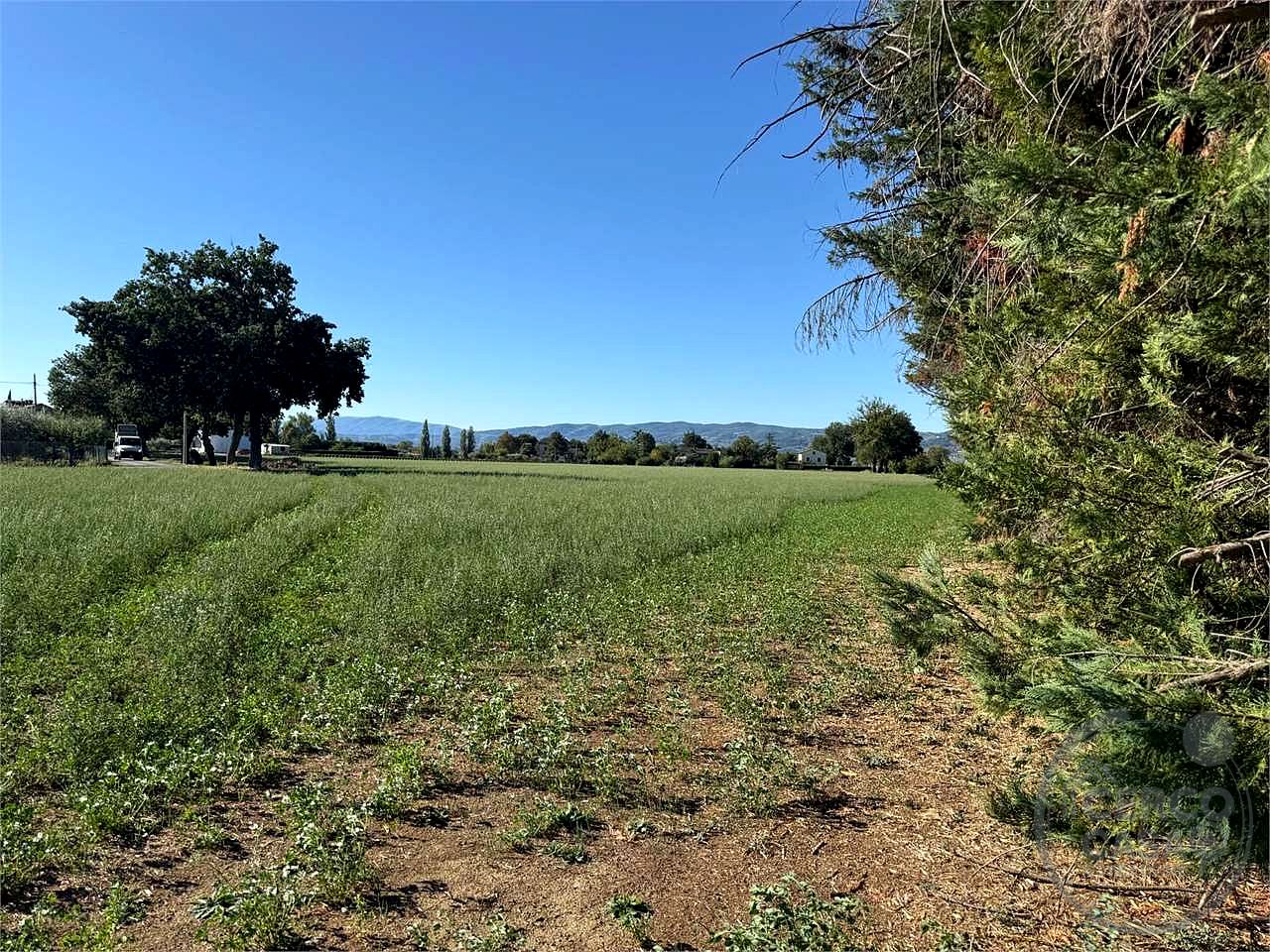 ASSISI - TERRENO AGRICOLO CON CAPANNONE
