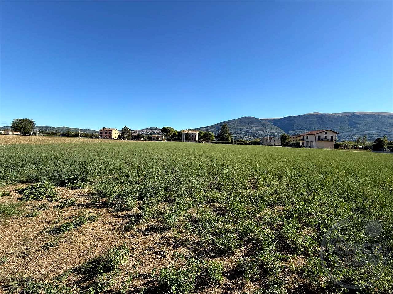 ASSISI - TERRENO AGRICOLO CON CAPANNONE