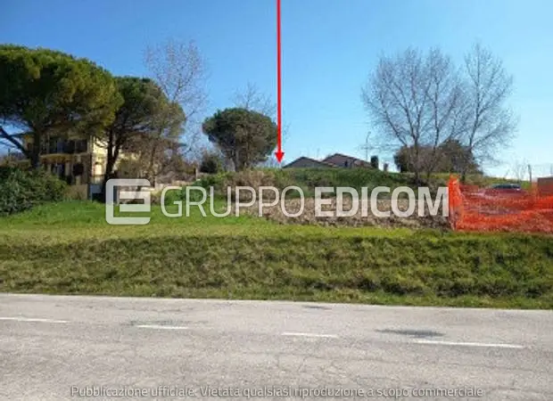 Terreno ALL'ASTA - Monteleone d'orvieto