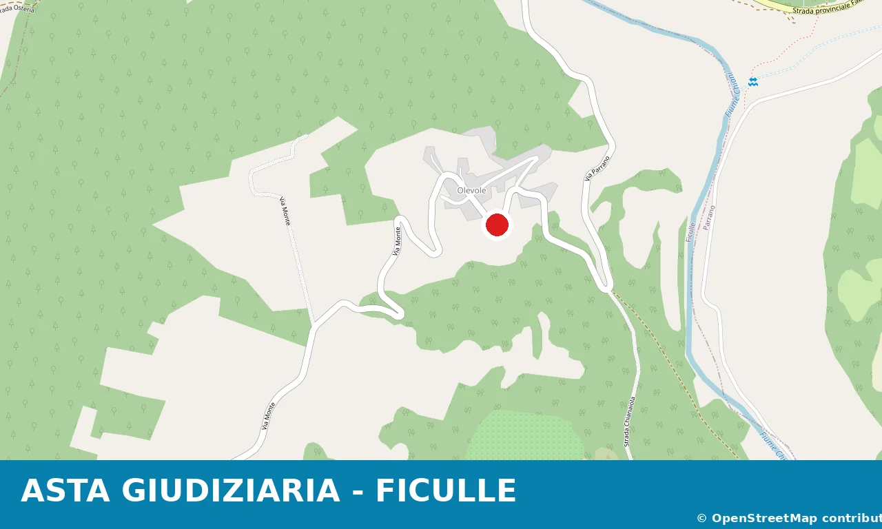 Casa indipendente ALL'ASTA - Ficulle