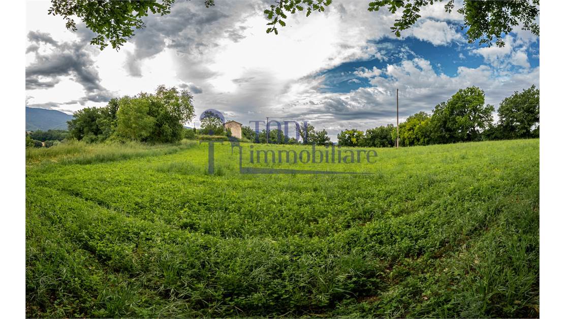 Lo Stampatore - Todi Immobiliare