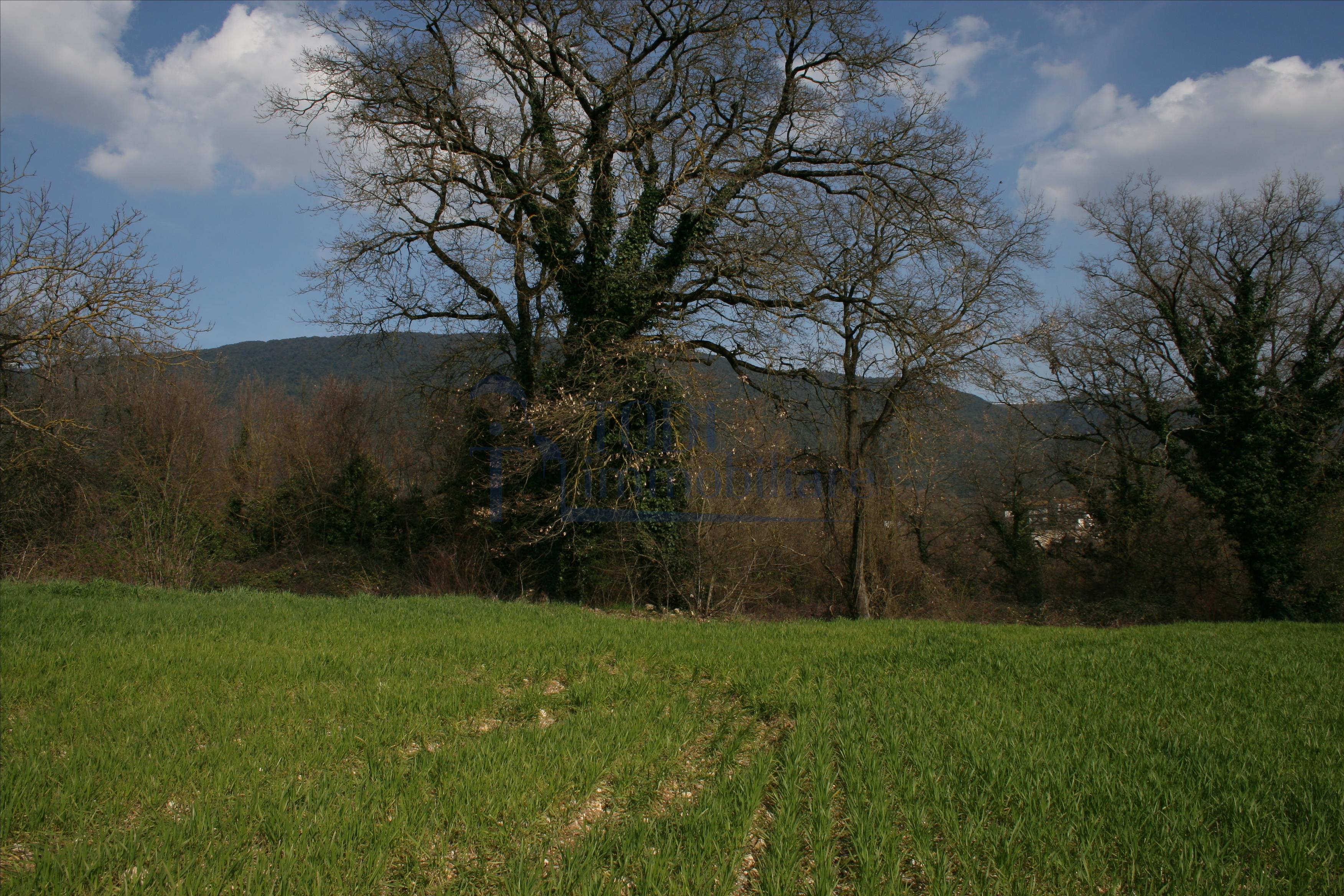 Lo Stampatore - Todi Immobiliare