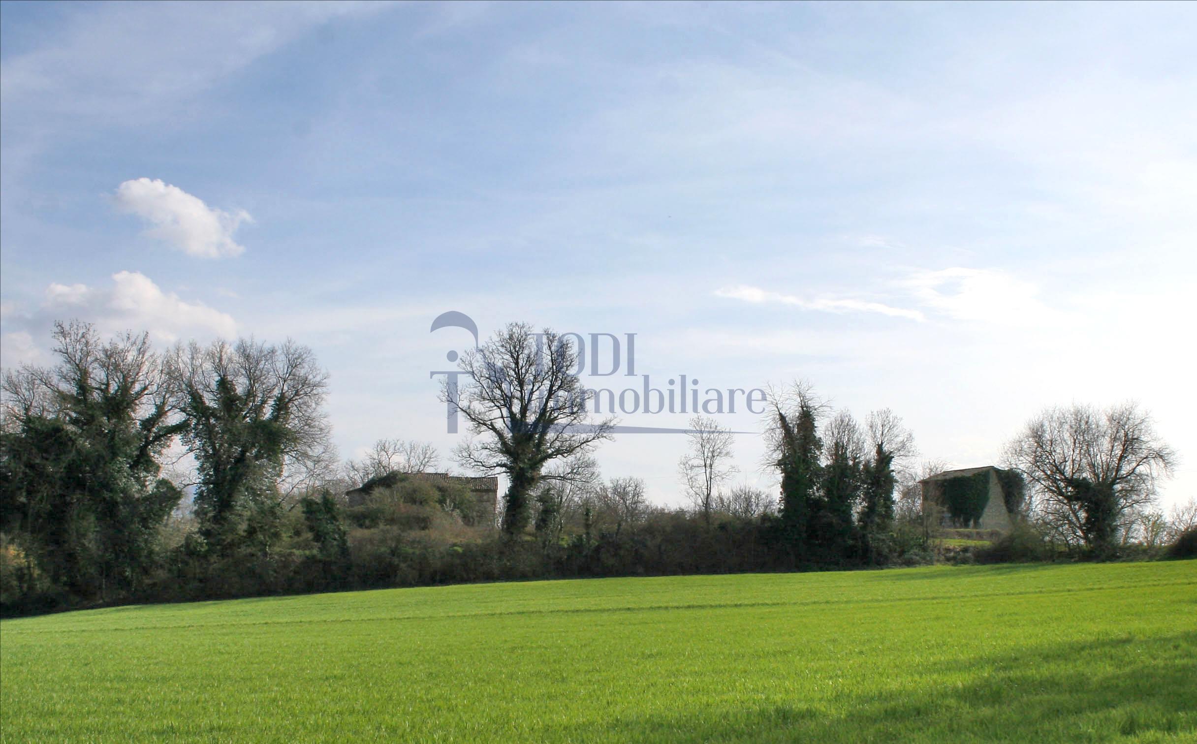 Lo Stampatore - Todi Immobiliare