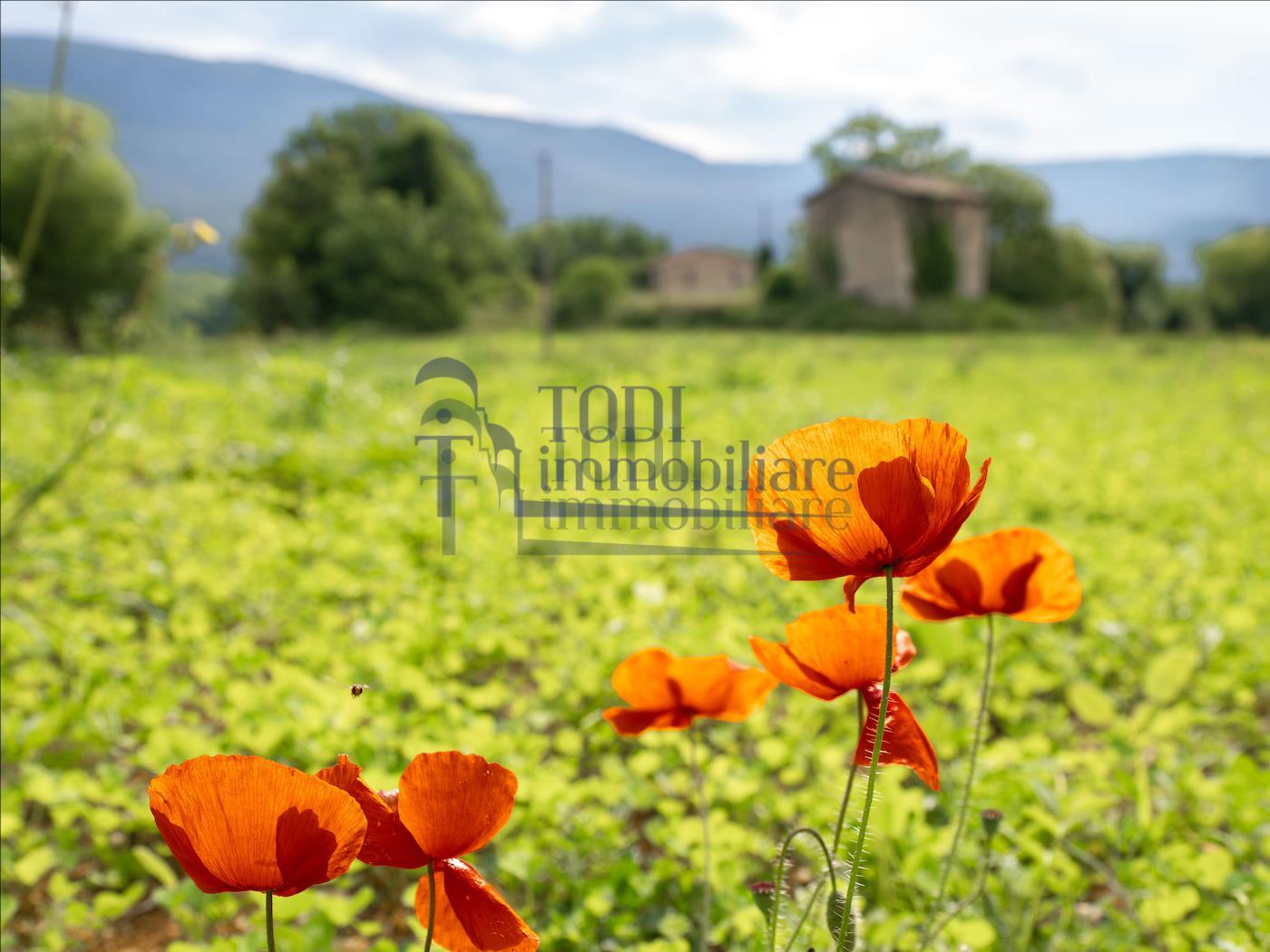Lo Stampatore - Todi Immobiliare
