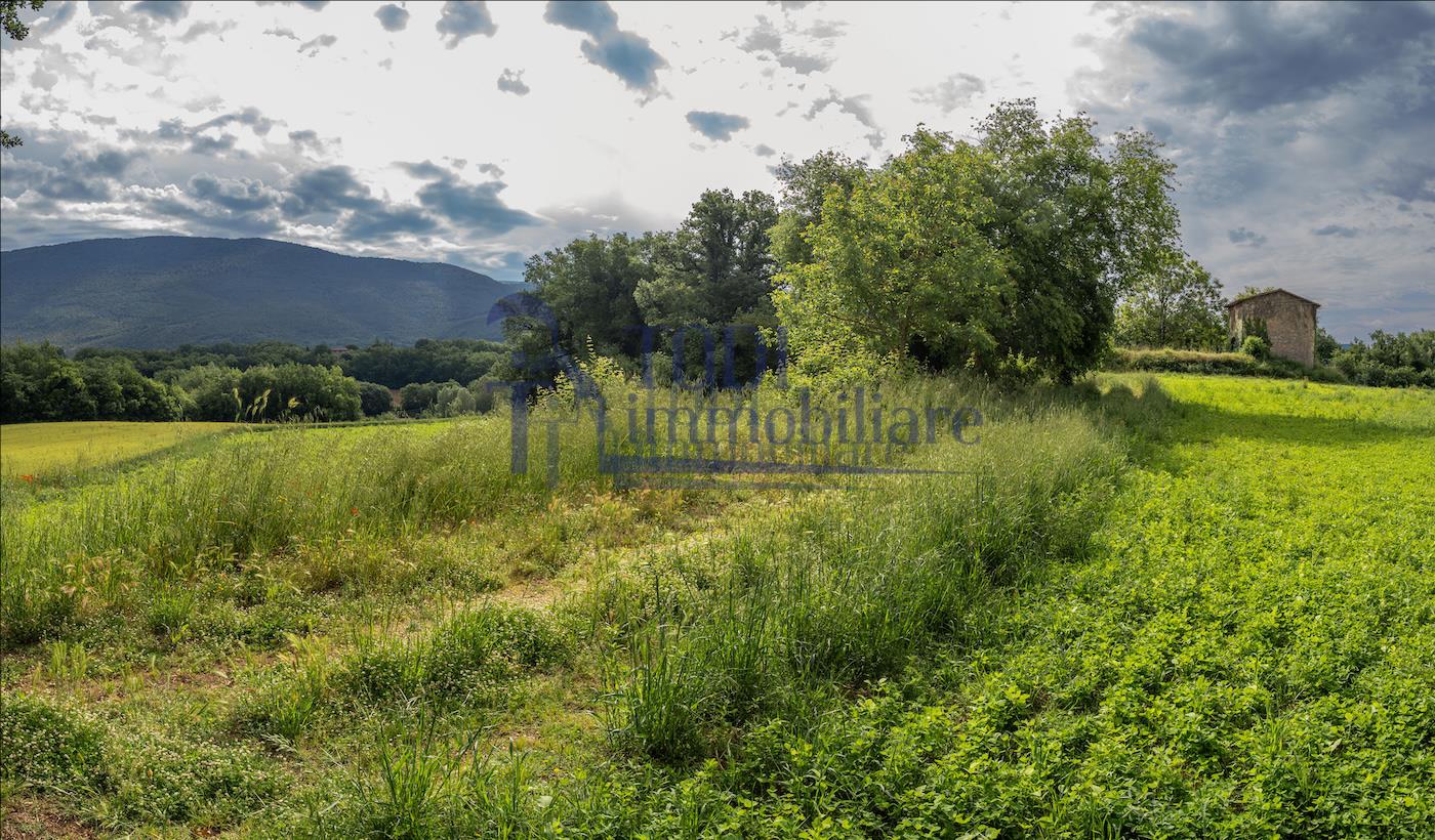 Lo Stampatore - Todi Immobiliare