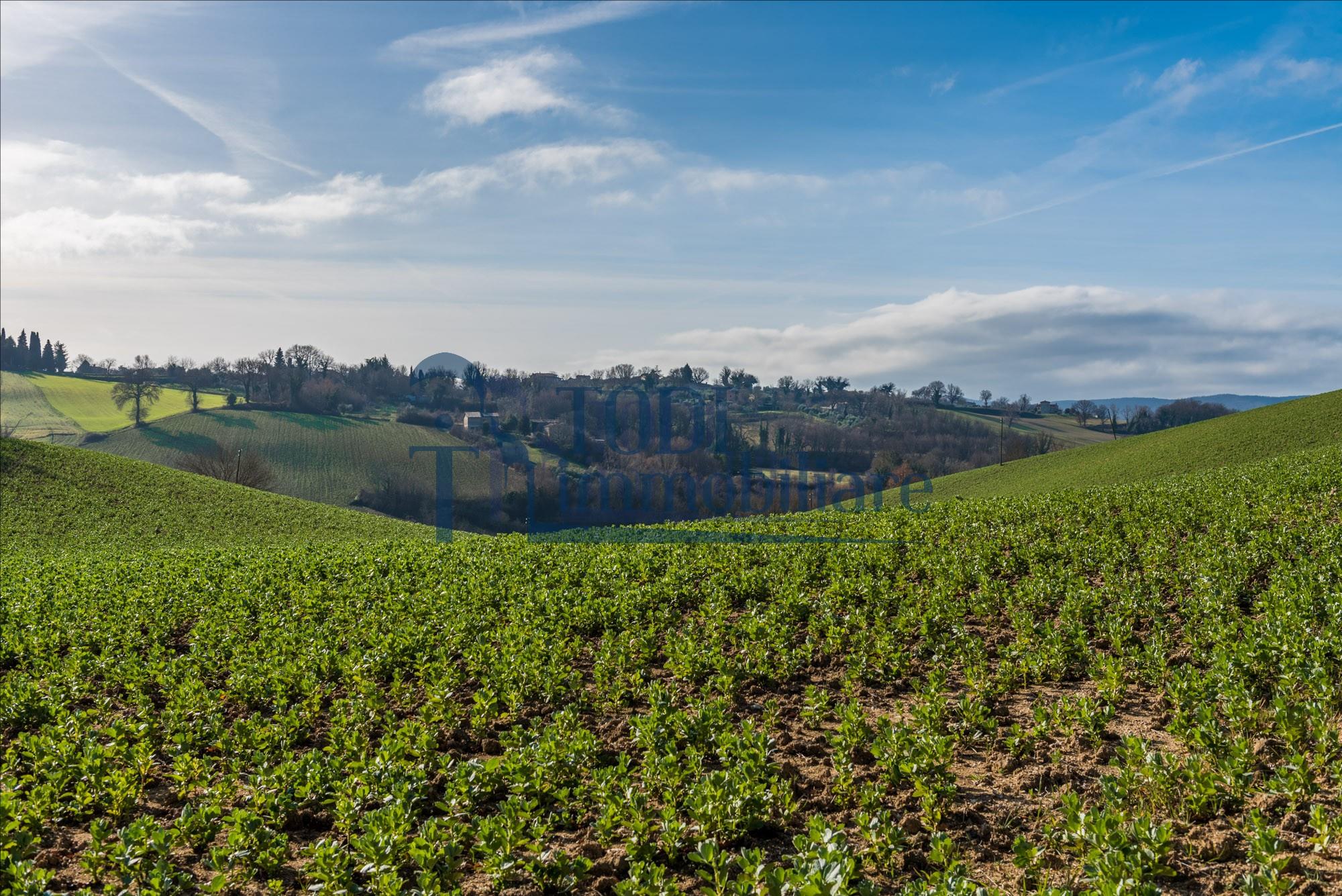 Casa Colonica La Costa - Todi Immobiliare