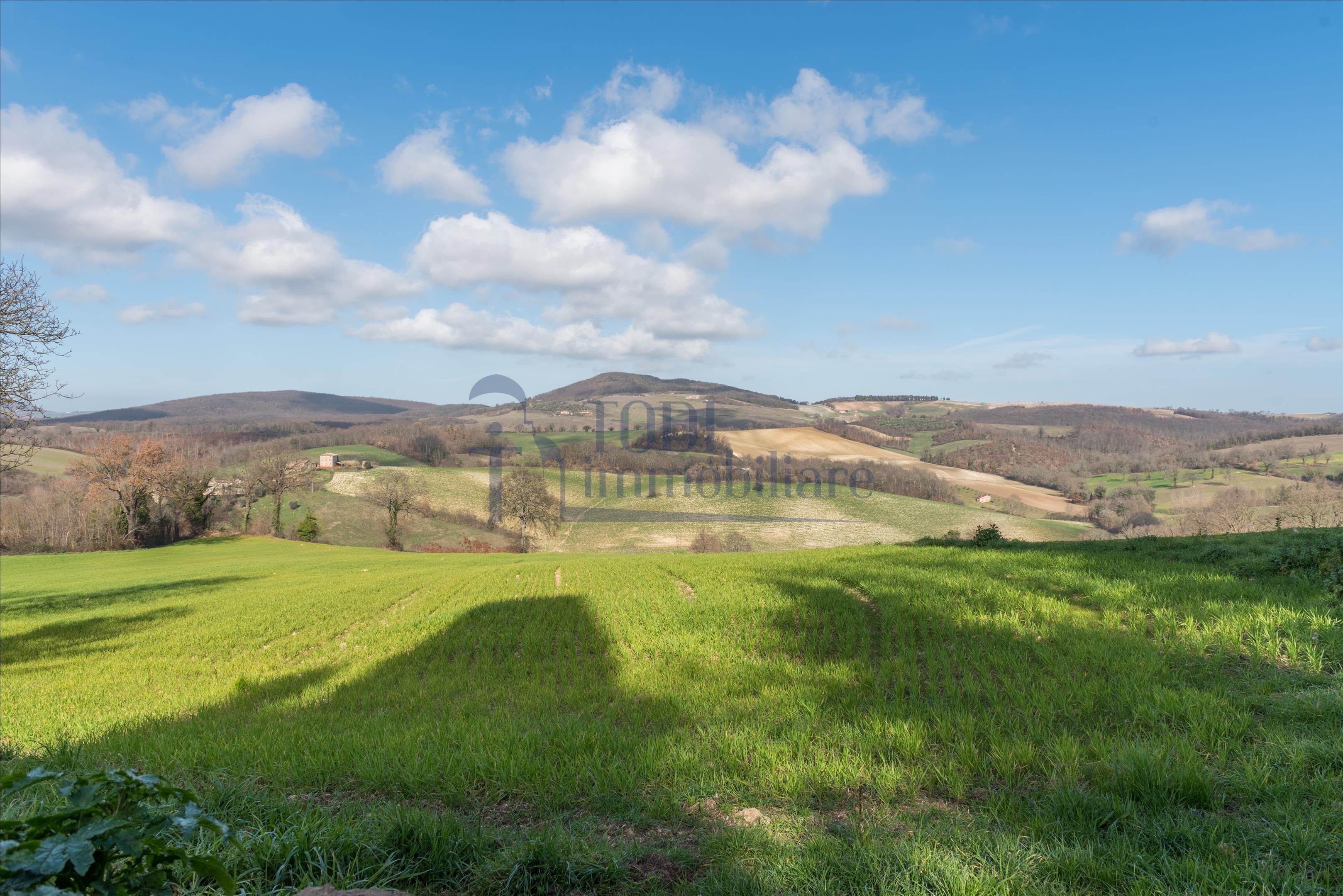 Casa Colonica La Costa - Todi Immobiliare
