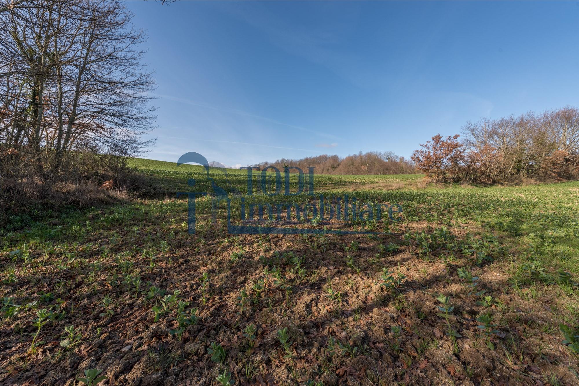 Casa Colonica La Costa - Todi Immobiliare