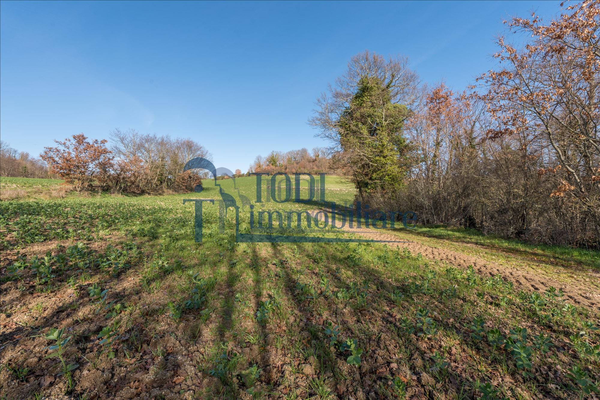 Casa Colonica La Costa - Todi Immobiliare