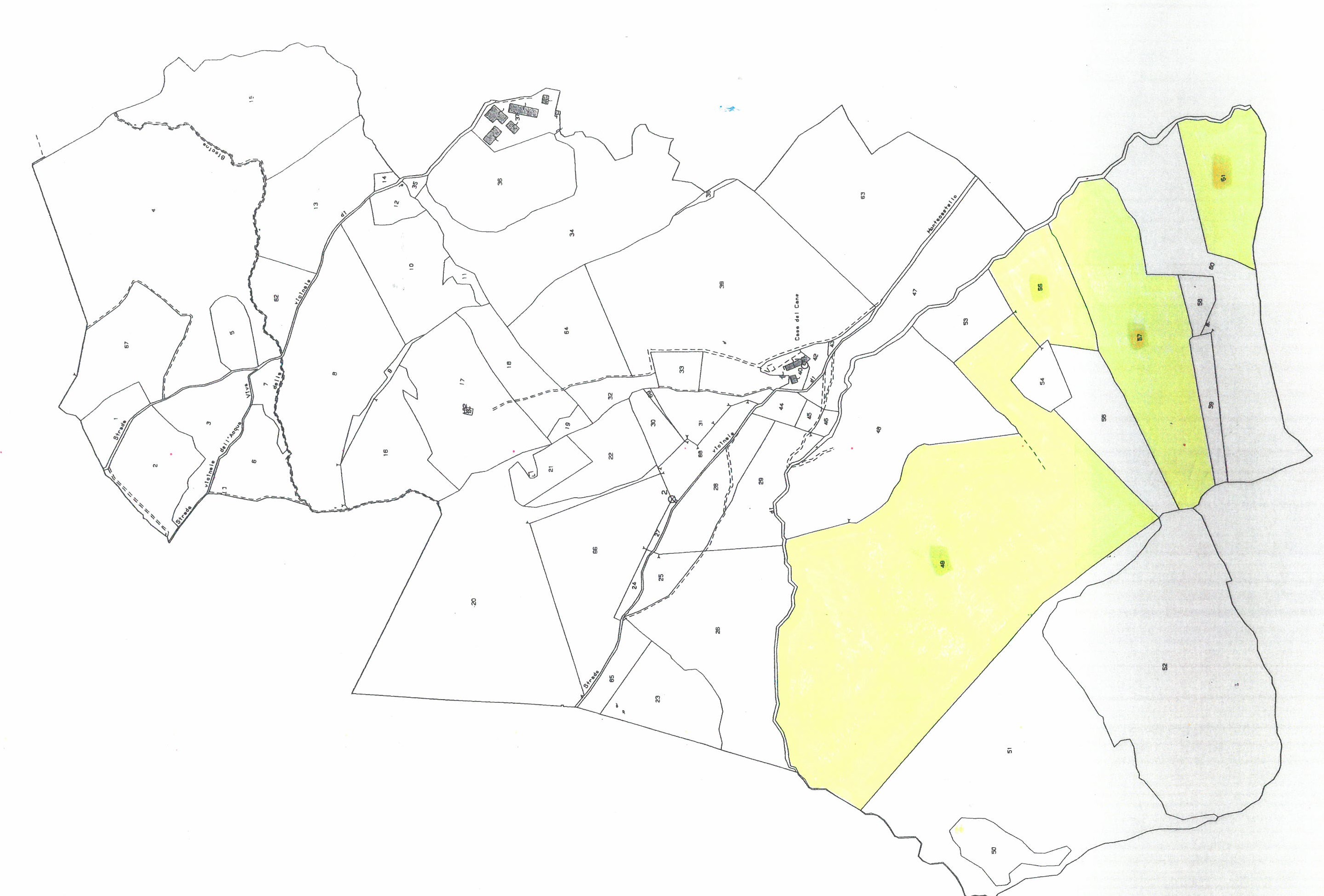 Terreno Boschivo Todi - Todi Immobiliare