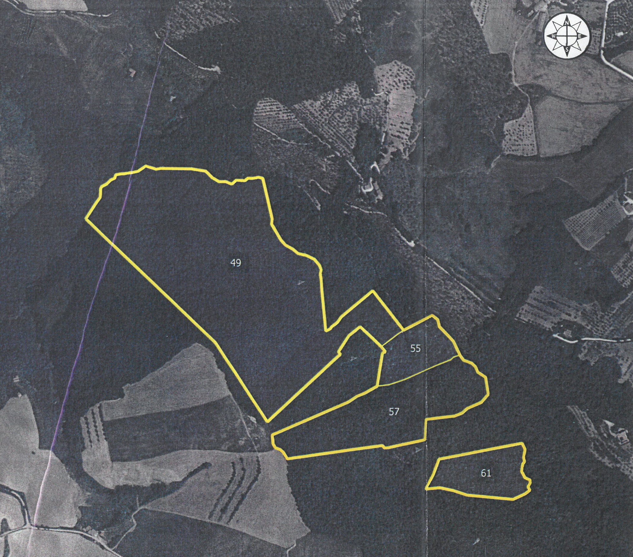 Terreno Boschivo Todi - Todi Immobiliare