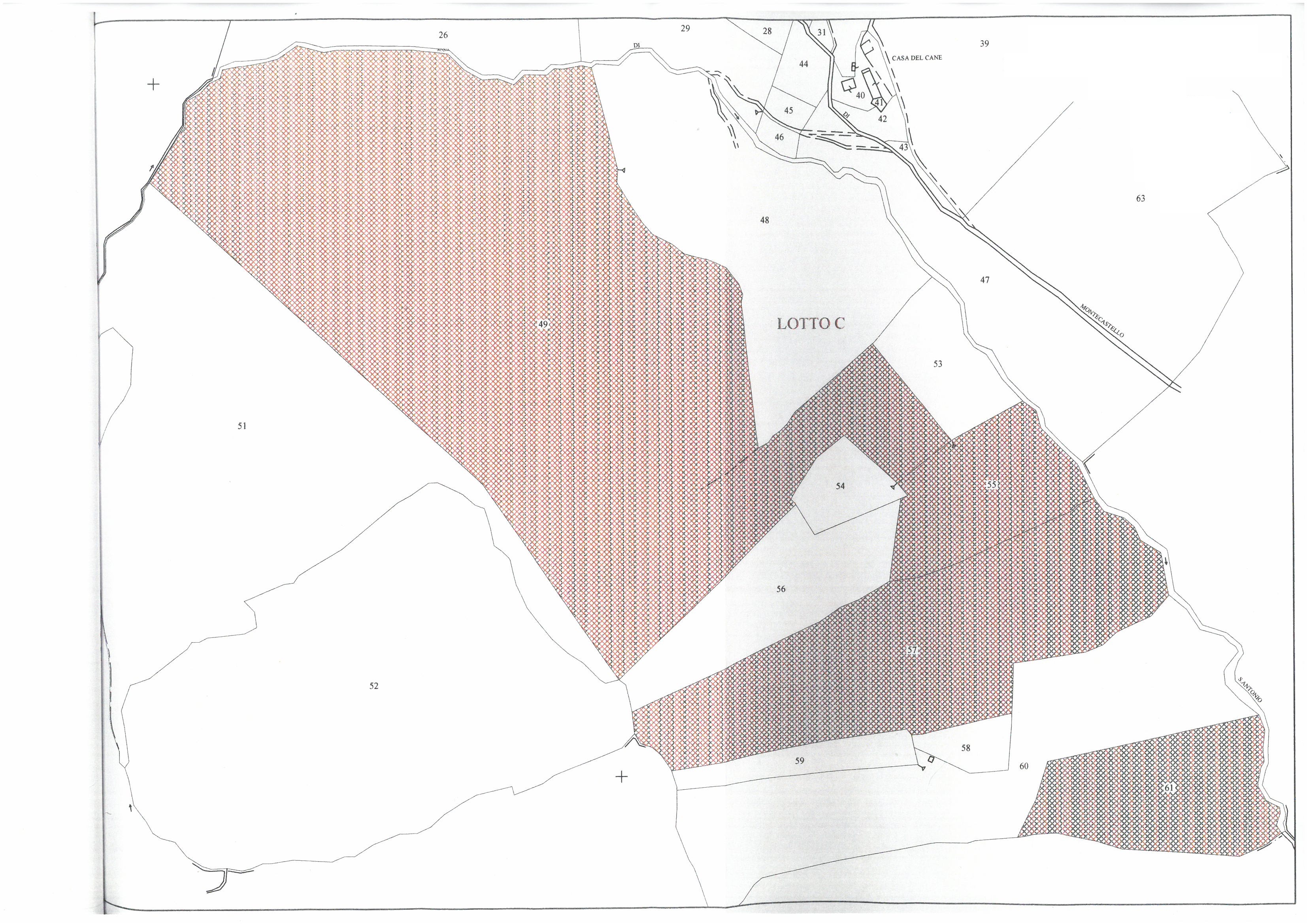 Terreno Boschivo Todi - Todi Immobiliare
