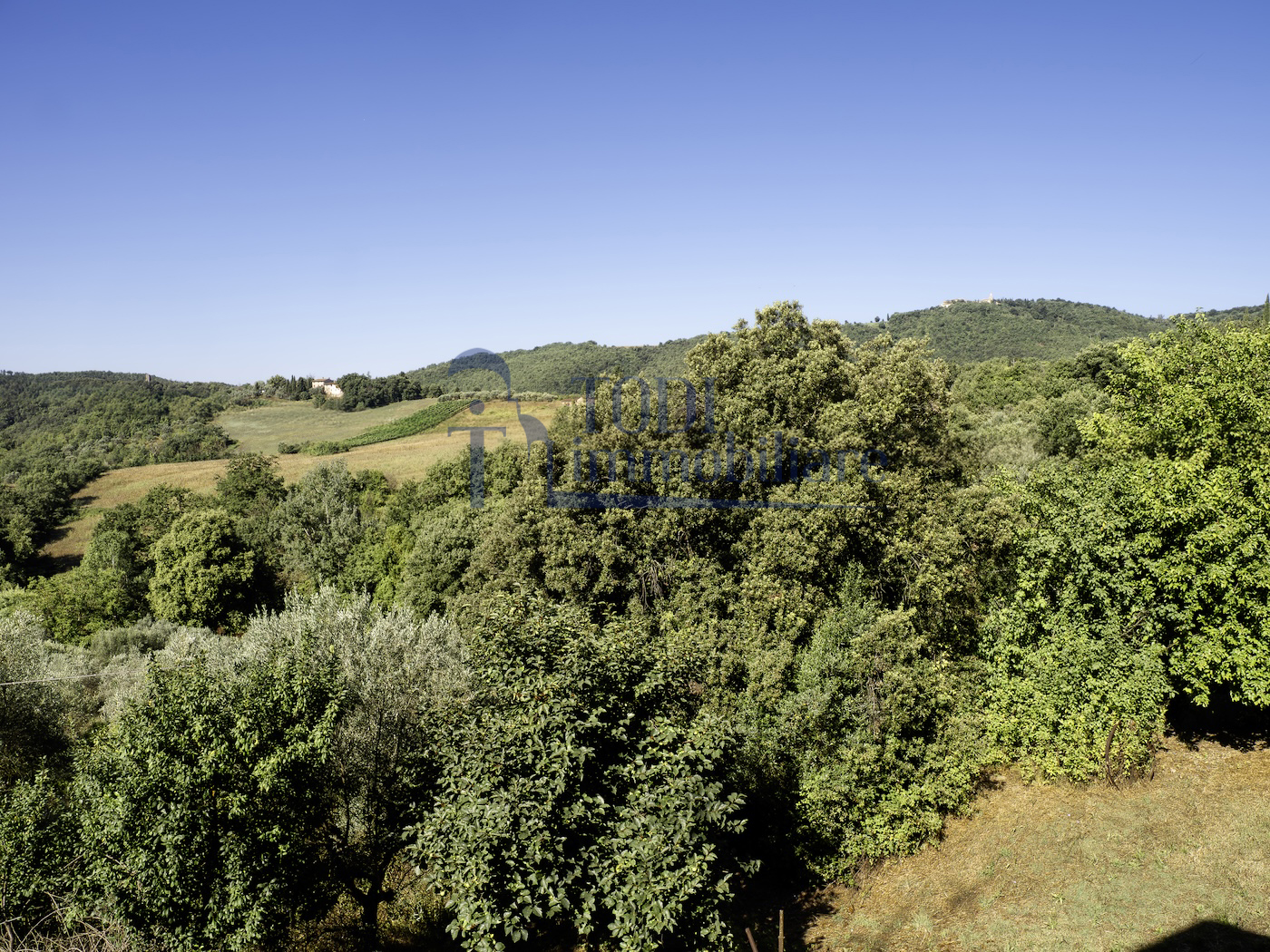 Porzione di Casa in Vendita a Todi (PG) - Todi Immobiliare