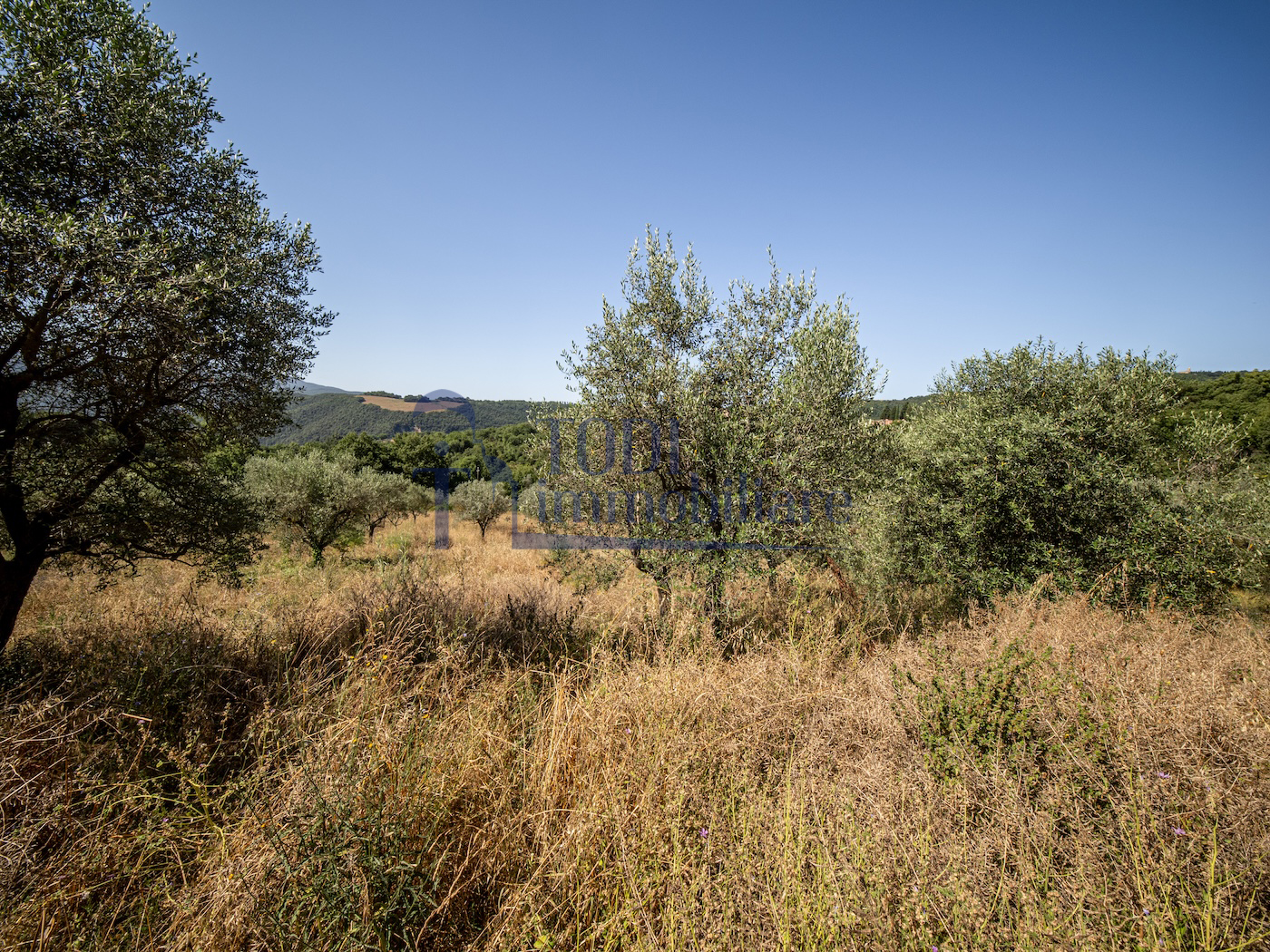 Porzione di Casa in Vendita a Todi (PG) - Todi Immobiliare