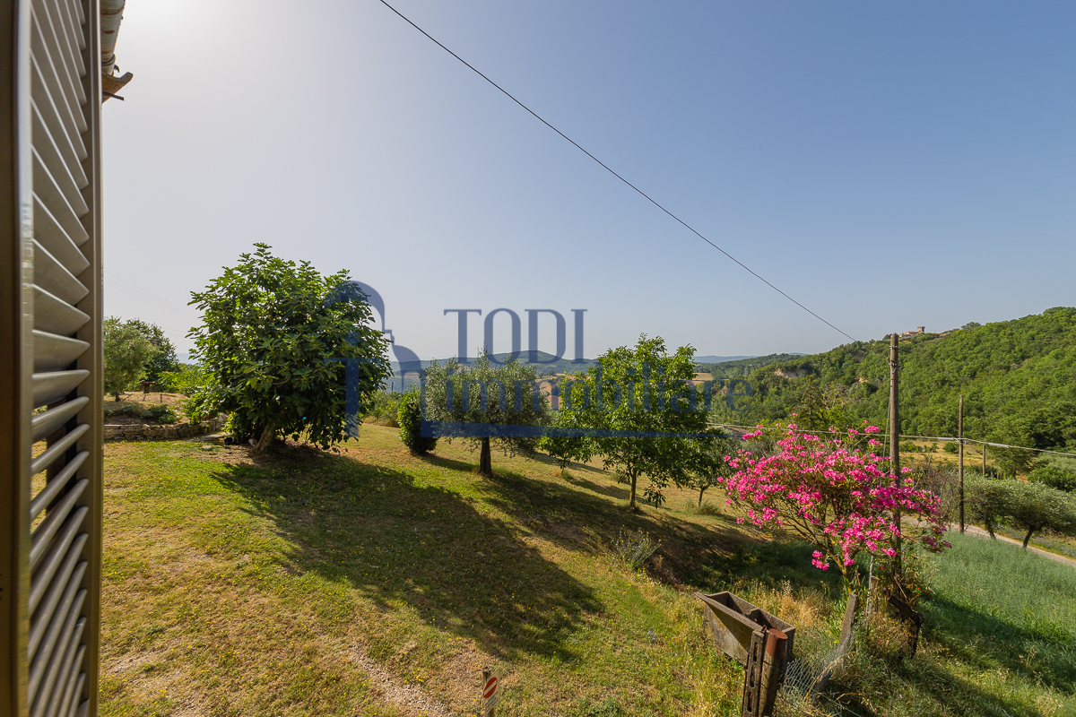 Camerata, 06059 Todi (PG) - Todi Immobiliare