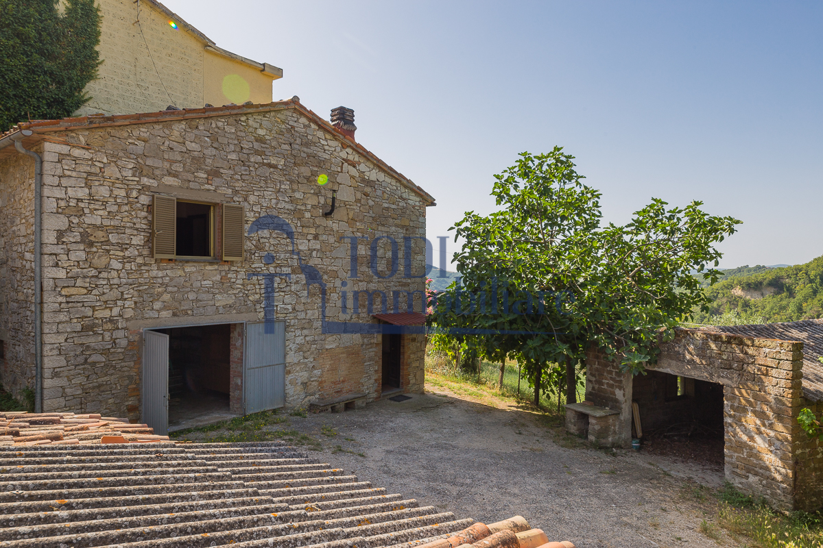 Camerata, 06059 Todi (PG) - Todi Immobiliare
