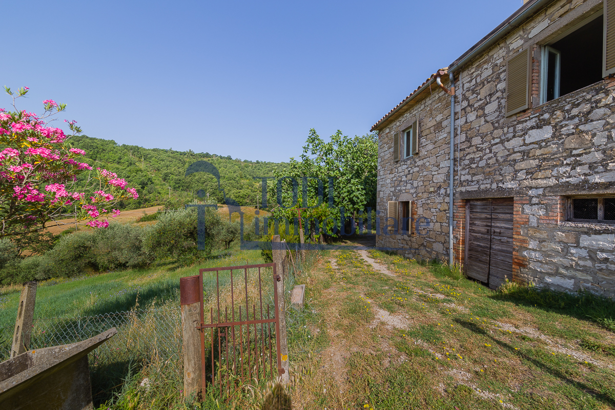 Camerata, 06059 Todi (PG) - Todi Immobiliare