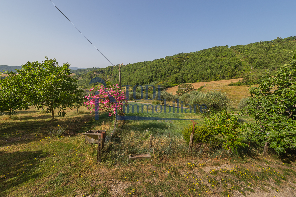 Camerata, 06059 Todi (PG) - Todi Immobiliare