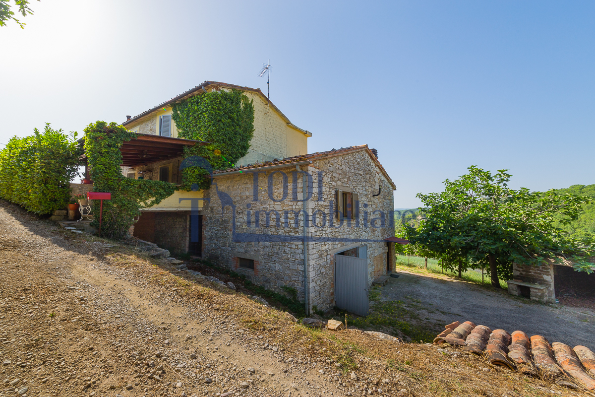 Camerata, 06059 Todi (PG) - Todi Immobiliare