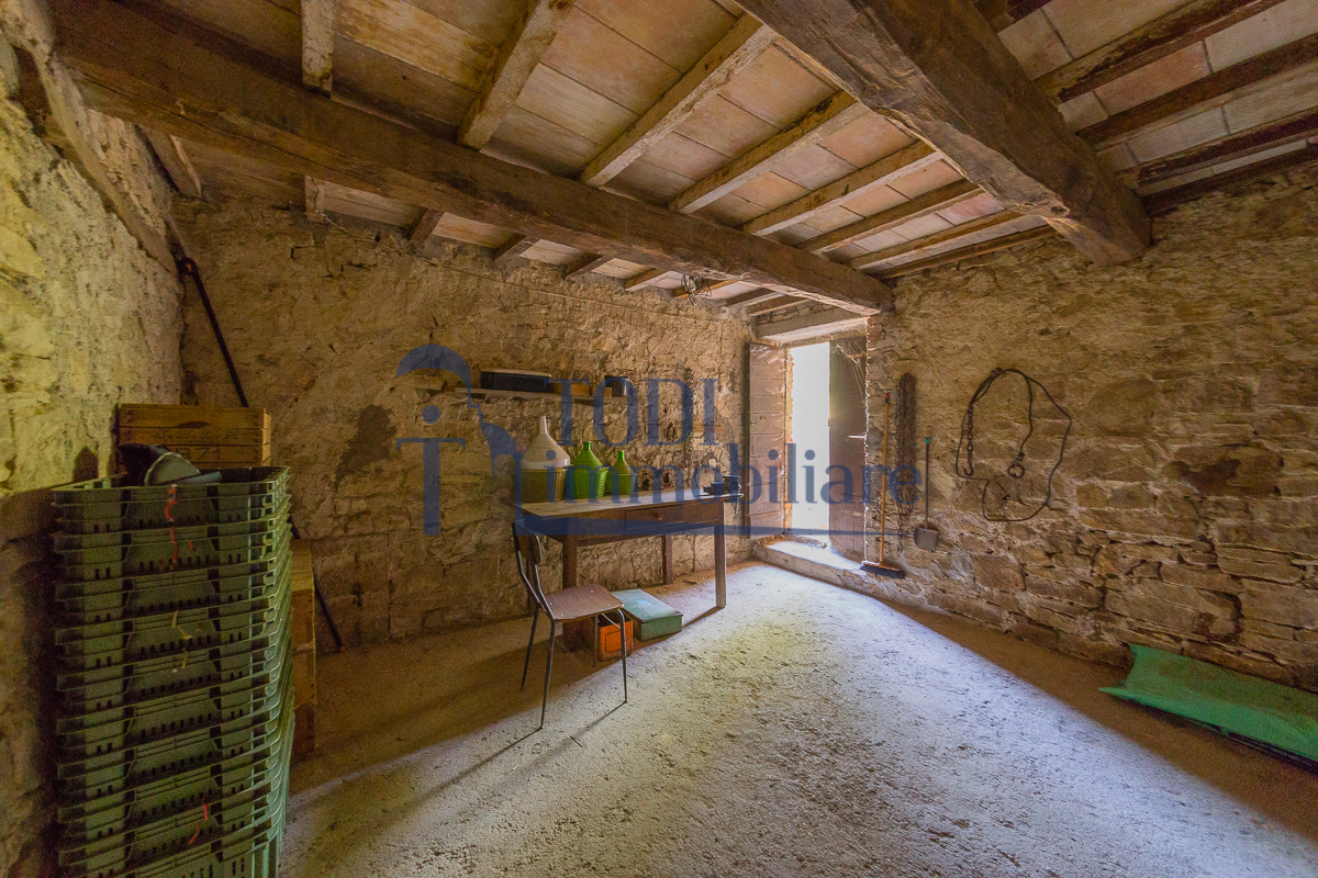 Camerata, 06059 Todi (PG) - Todi Immobiliare