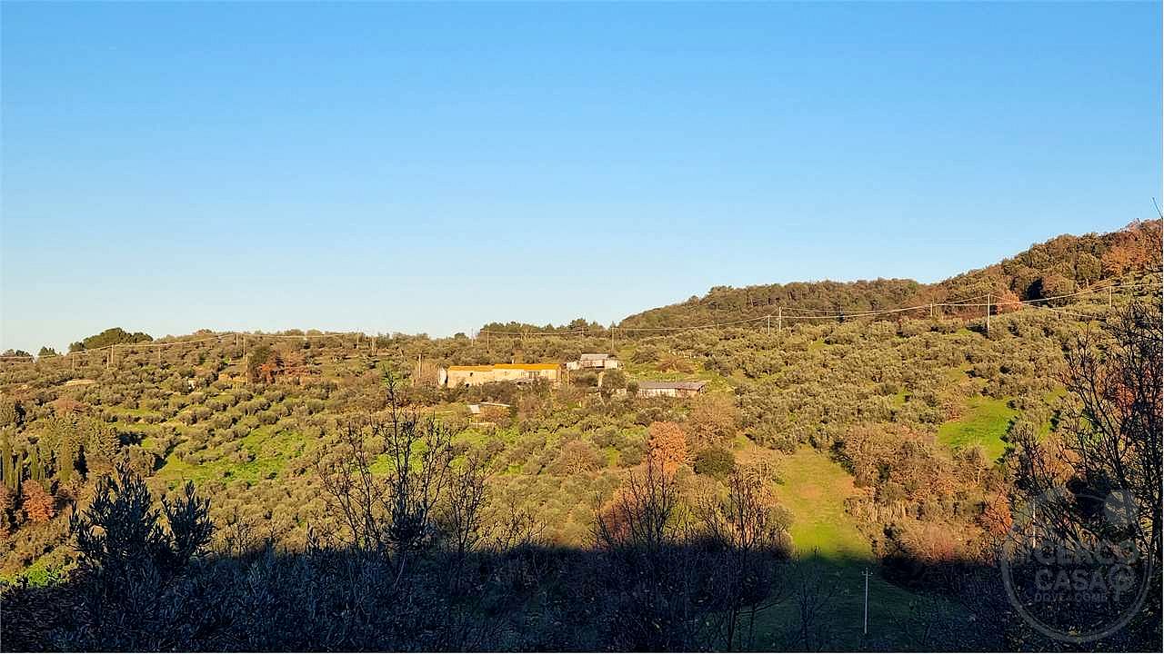 Torgiano Casale panoramico con 900 olivi - Torgiano