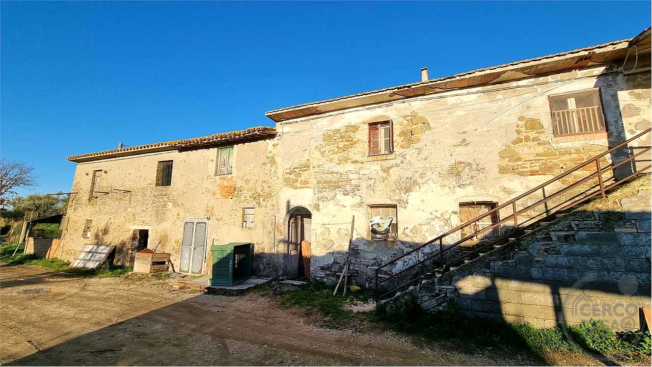 Torgiano Casale panoramico con 900 olivi