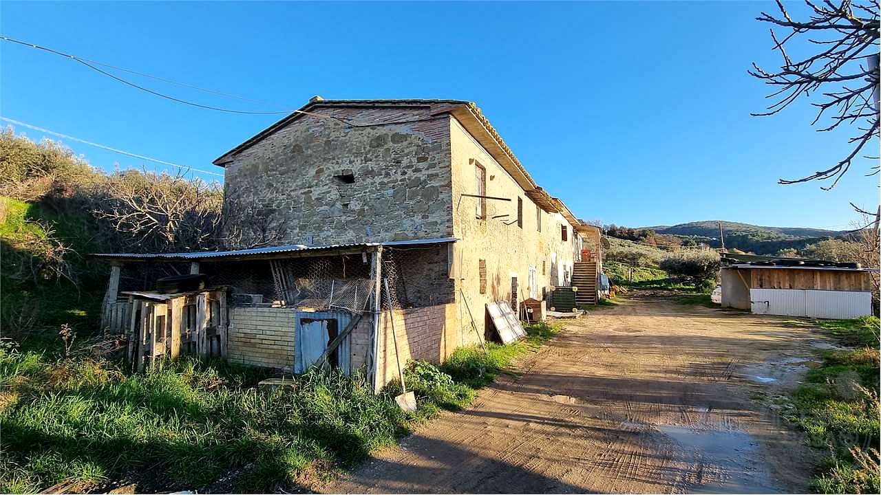 Torgiano Casale panoramico con 900 olivi