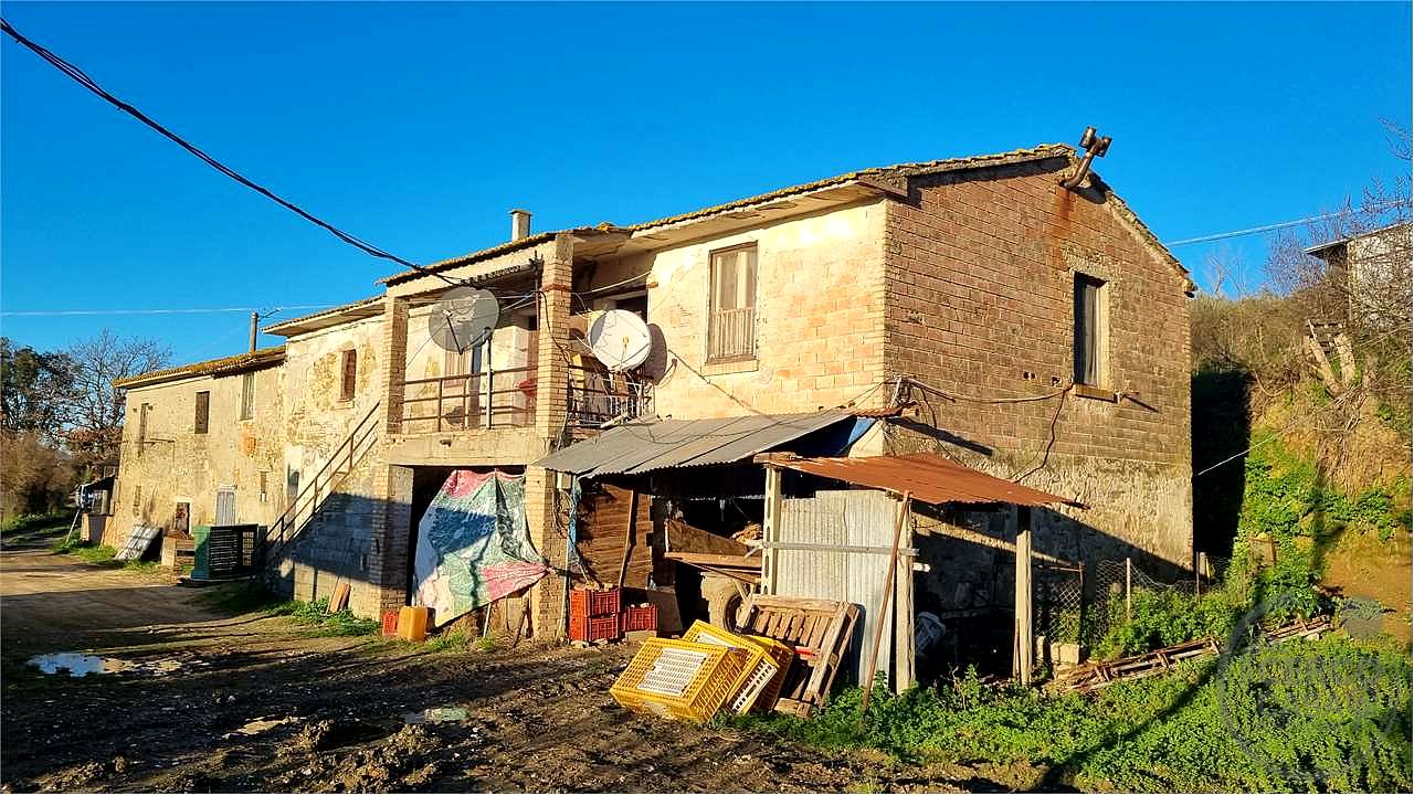 Torgiano Casale panoramico con 900 olivi
