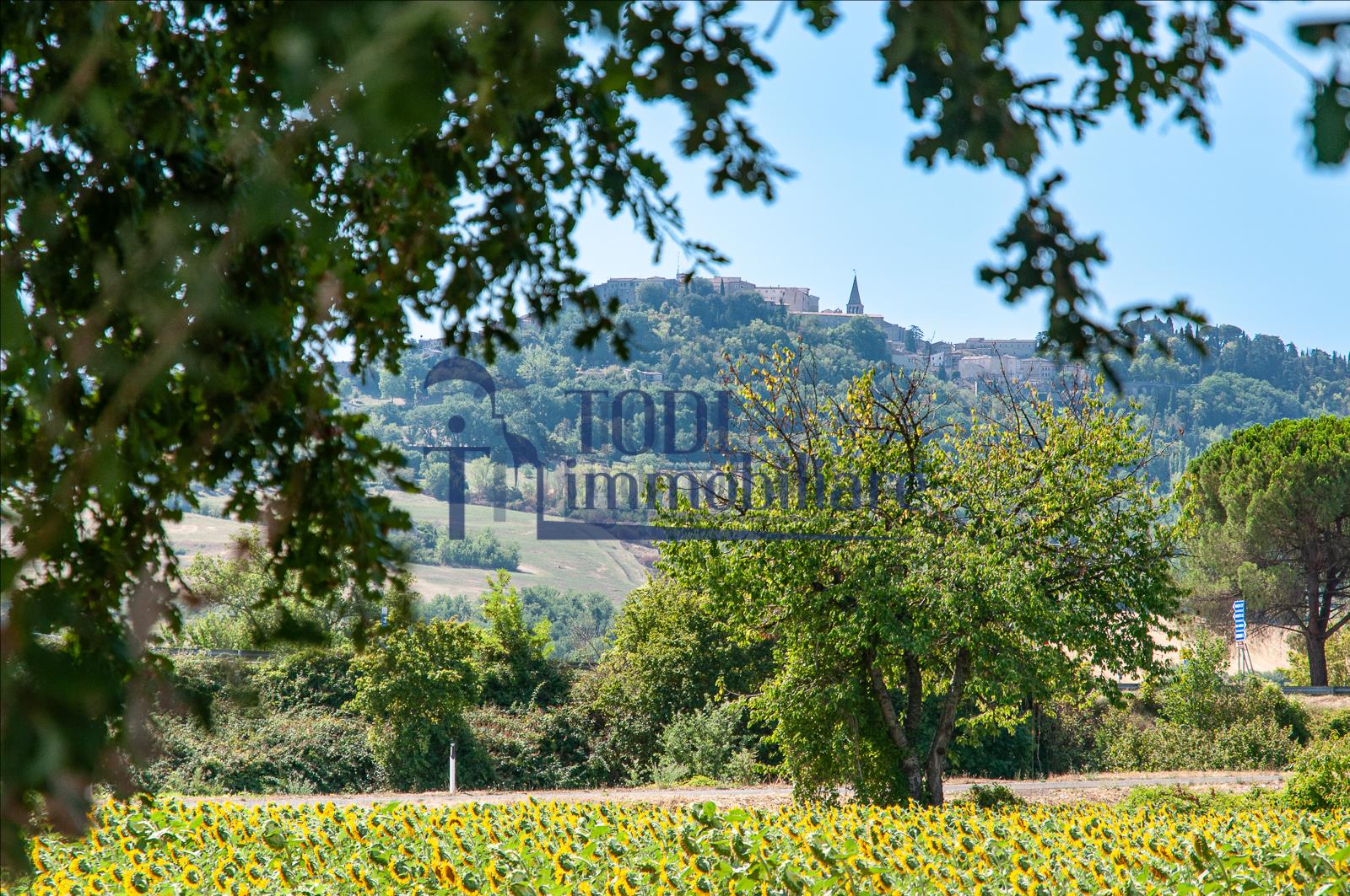 Pian Di San Martino, 06059 Todi (PG) - Todi Immobiliare
