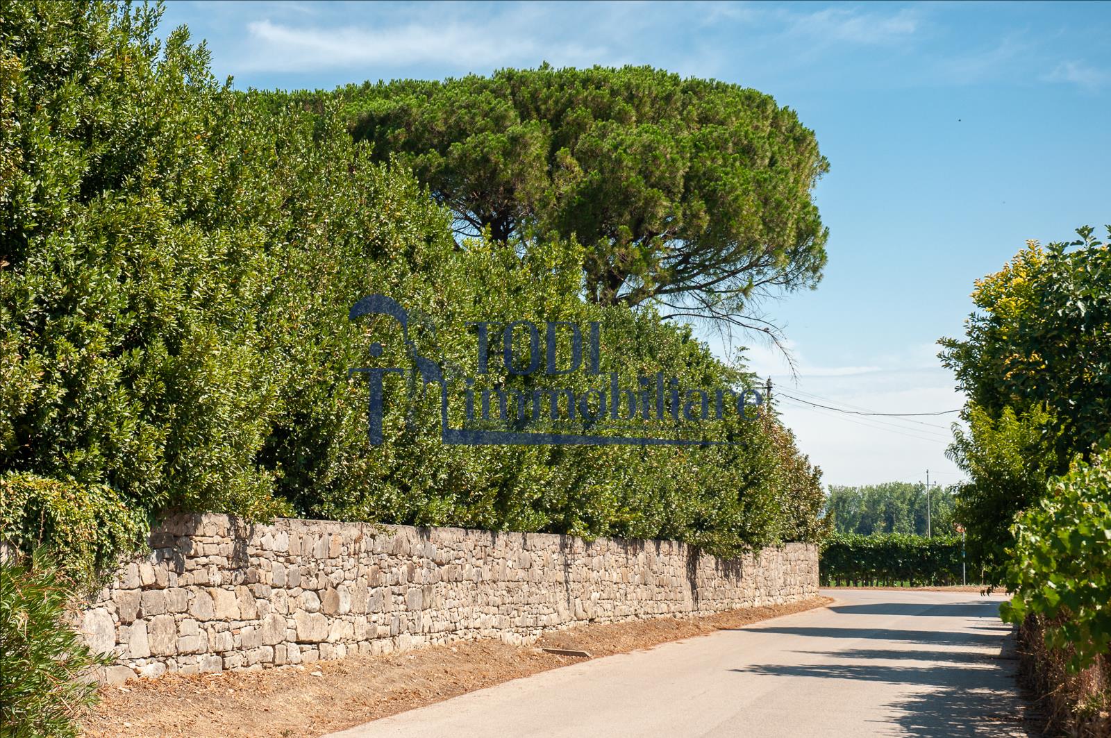 Pian Di San Martino, 06059 Todi (PG) - Todi Immobiliare