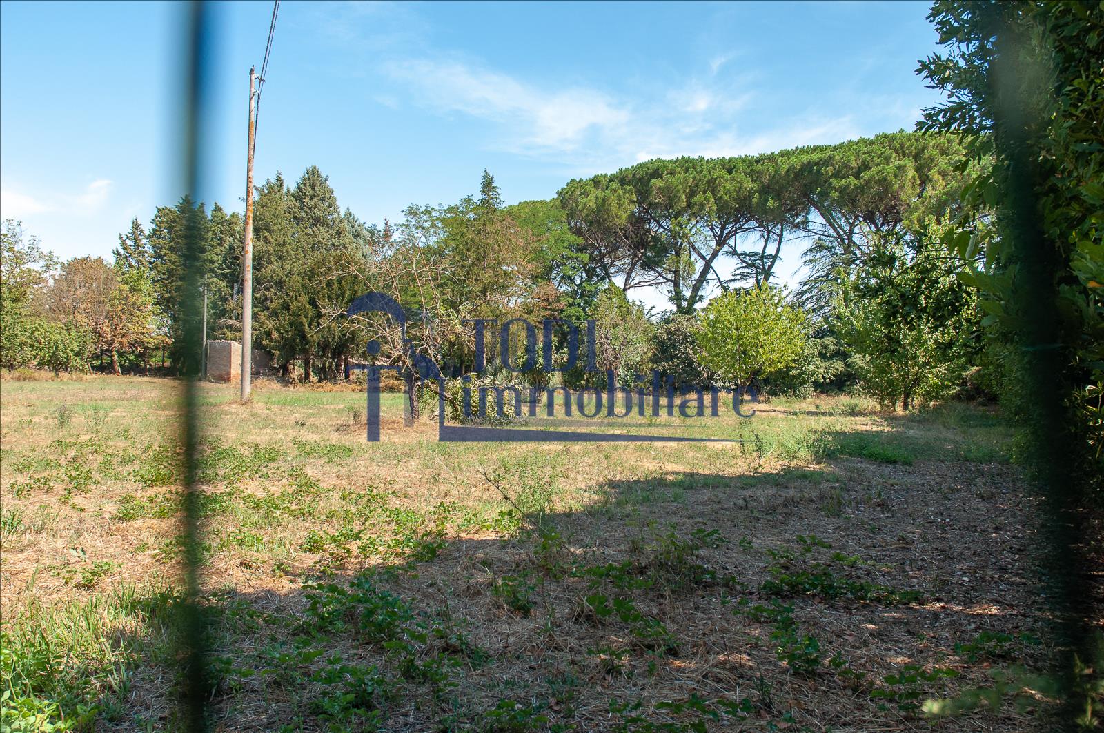 Pian Di San Martino, 06059 Todi (PG) - Todi Immobiliare
