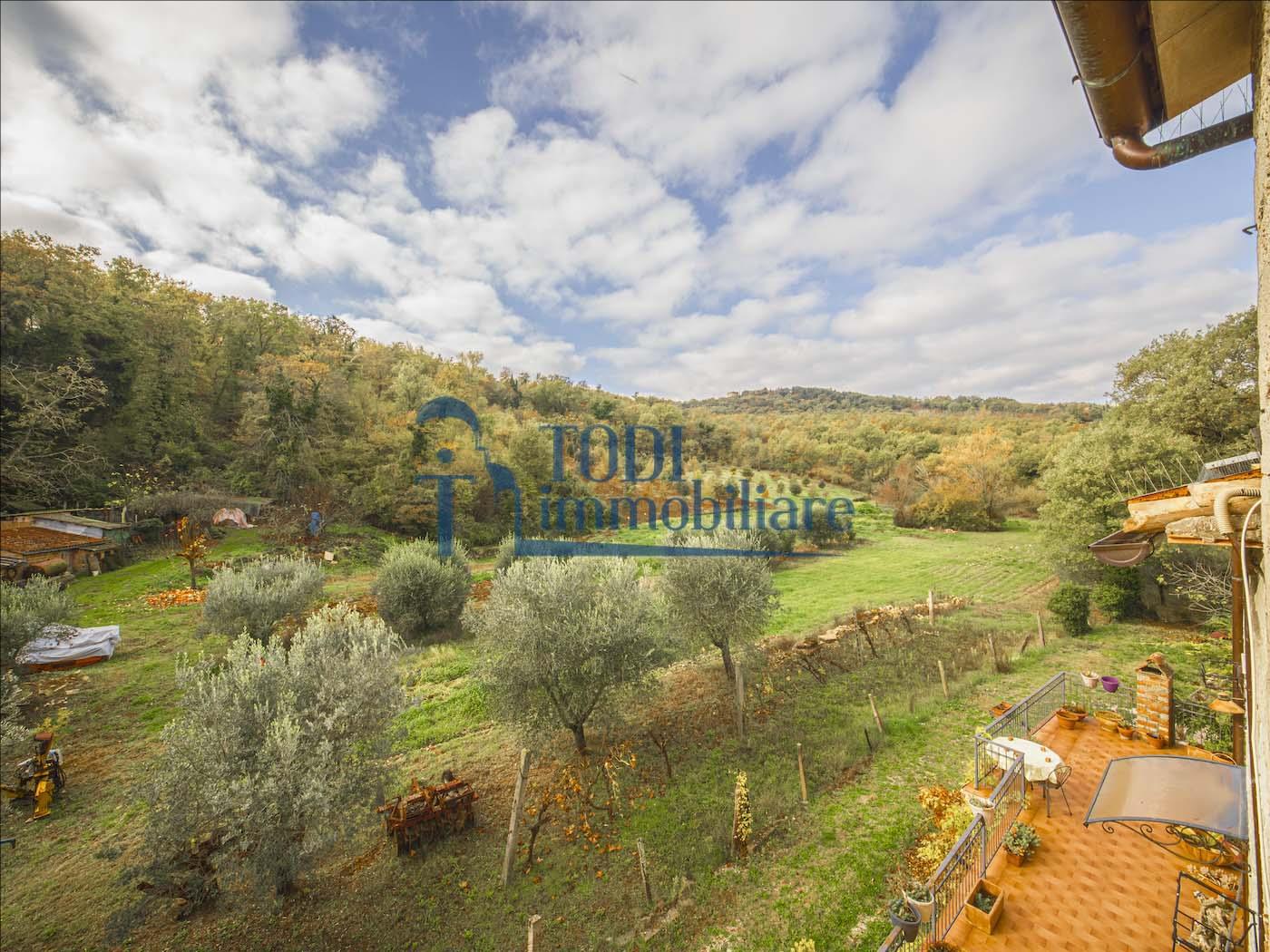 Torregentile, 06059 Todi (PG) - Todi Immobiliare