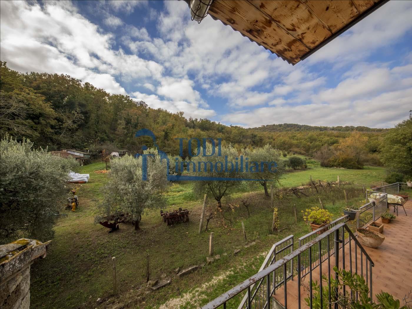 Torregentile, 06059 Todi (PG) - Todi Immobiliare