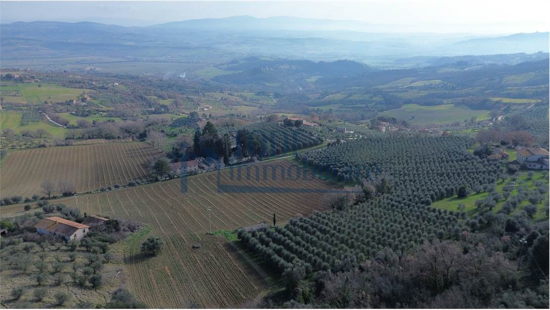 Villa in Pietra 300 mq con 2ha di terreno _ Uliveto _ Piscina - Todi Immobiliare