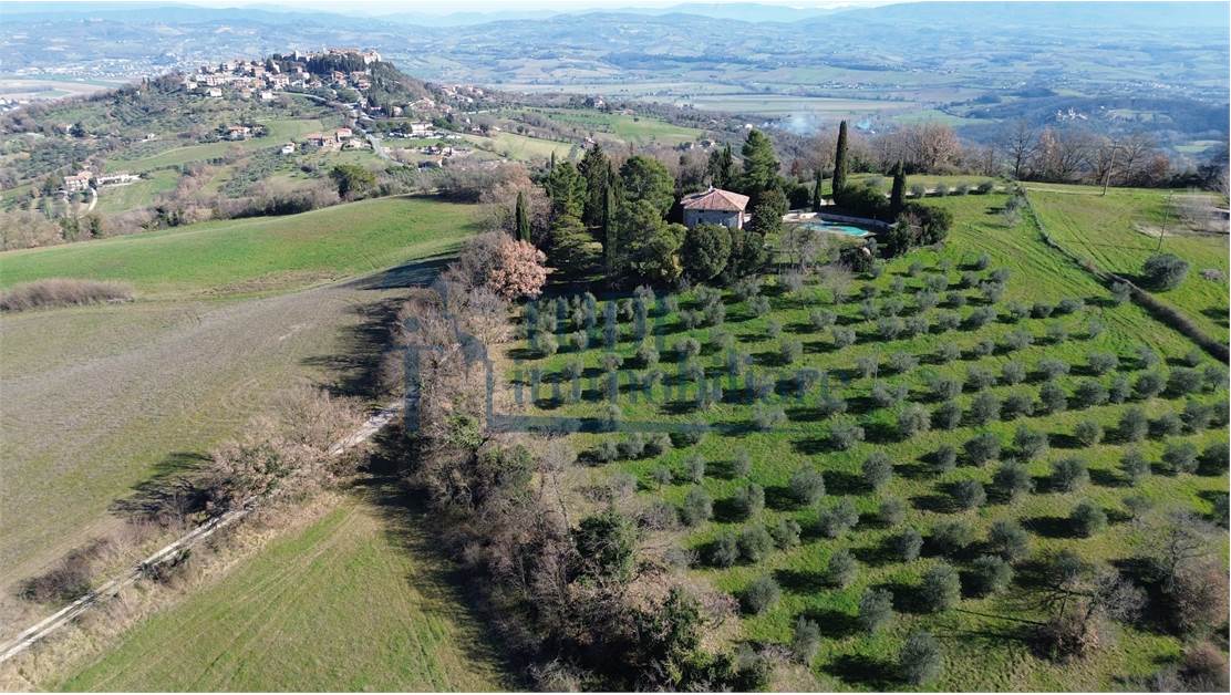 Villa in Pietra 300 mq con 2ha di terreno _ Uliveto _ Piscina - Todi Immobiliare