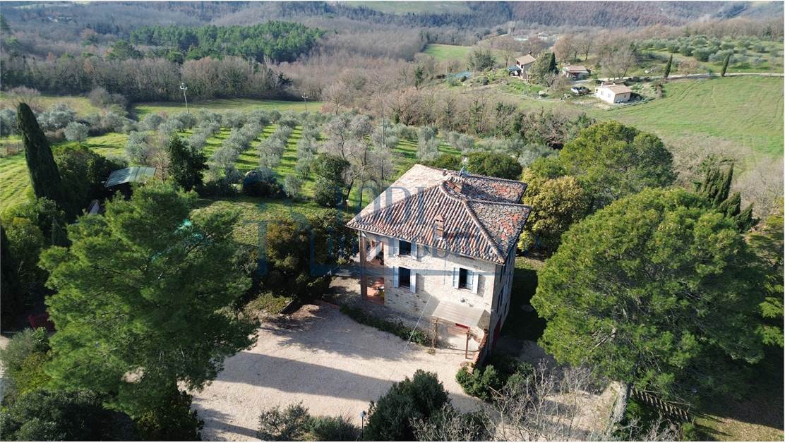 Villa in Pietra 300 mq con 2ha di terreno _ Uliveto _ Piscina - Todi Immobiliare