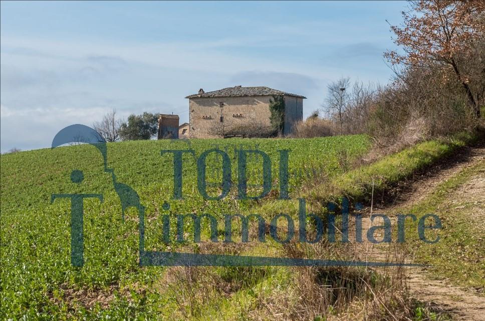 Casa Colonica La Costa - Todi Immobiliare