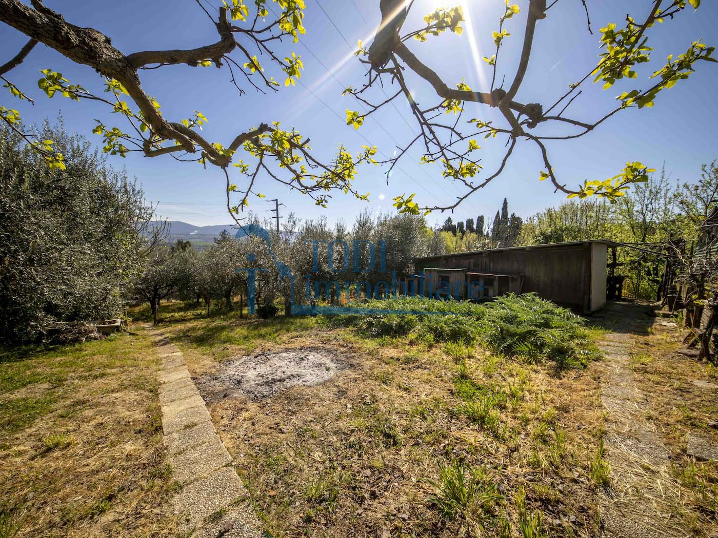 viale del crocefisso, 06059 Todi (PG) - Todi Immobiliare