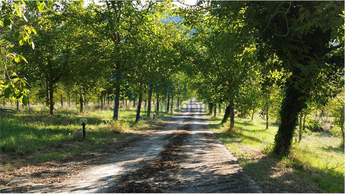 Caratteristica Casa di Campagna ristrutturata con 9 ha di Terreno - Todi Immobiliare