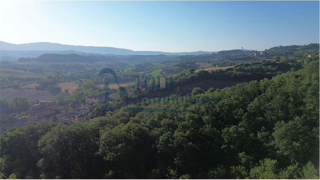 Caratteristica Casa di Campagna ristrutturata con 9 ha di Terreno - Todi Immobiliare