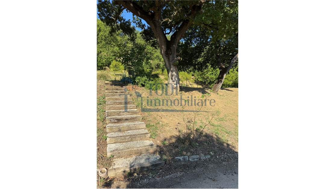 Caratteristica Casa di Campagna ristrutturata con 9 ha di Terreno - Todi Immobiliare