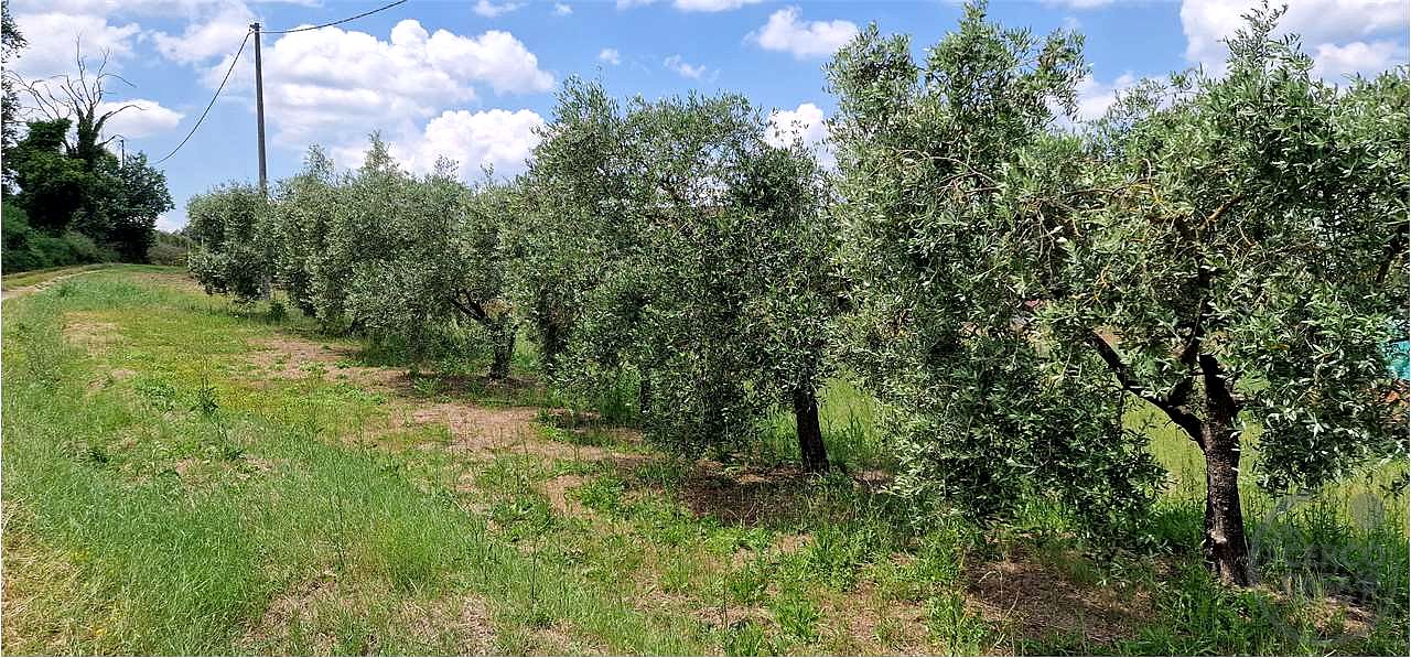 San Biagio della Valle, annesso agricolo e terra