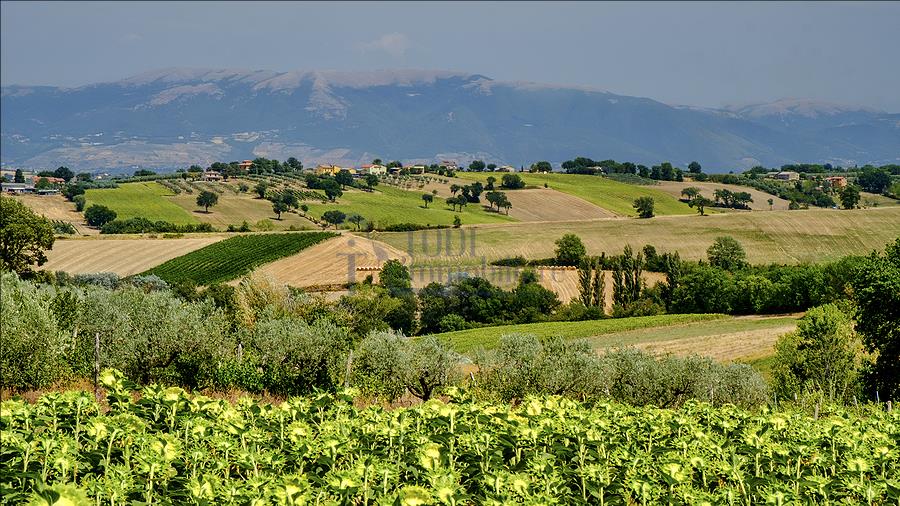 Terreno Edificabile con ulteriore porzione di fabbricato. - Todi Immobiliare
