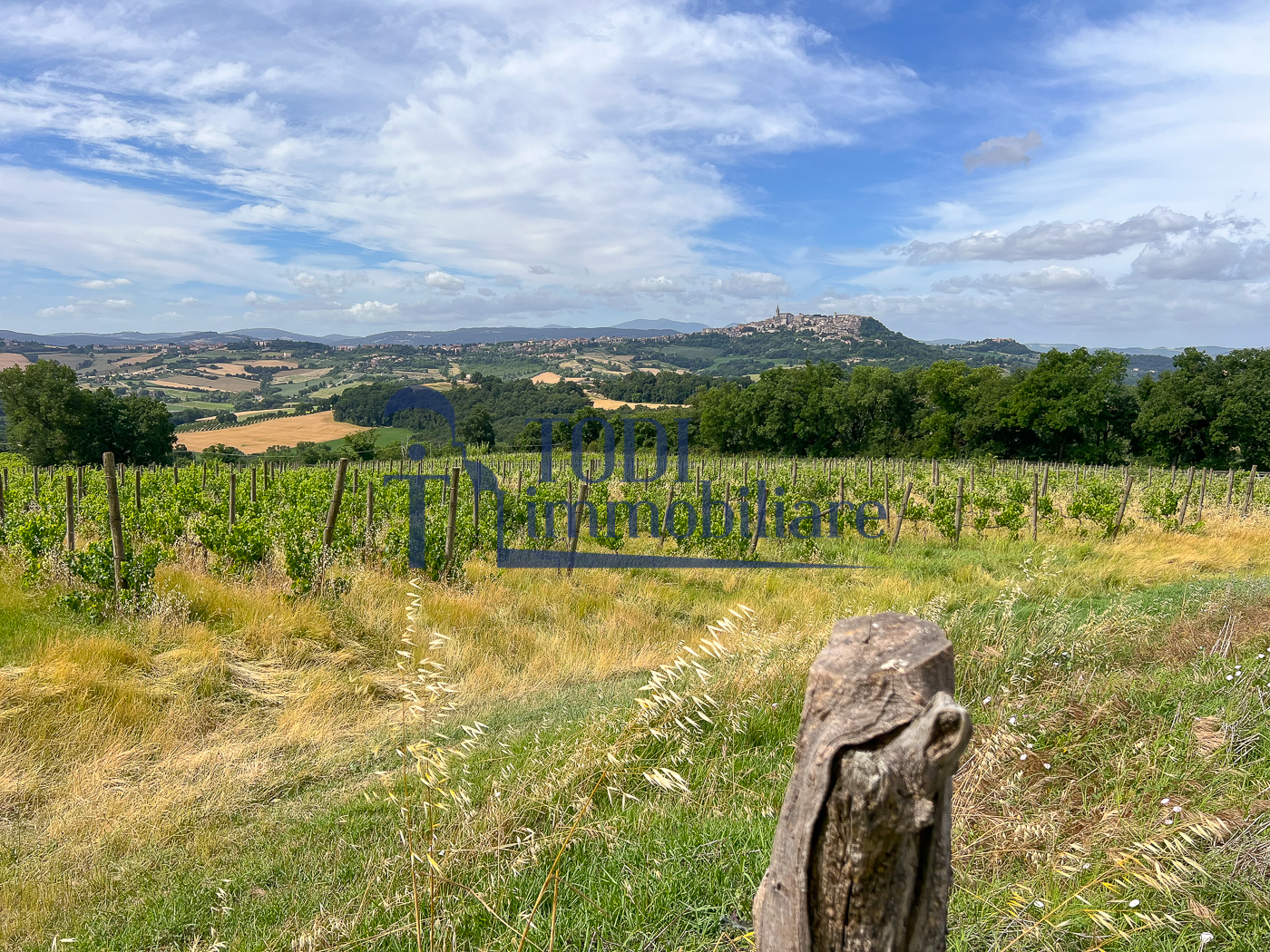 Casale da ristrutturare in posizione panoramica - Todi Immobiliare