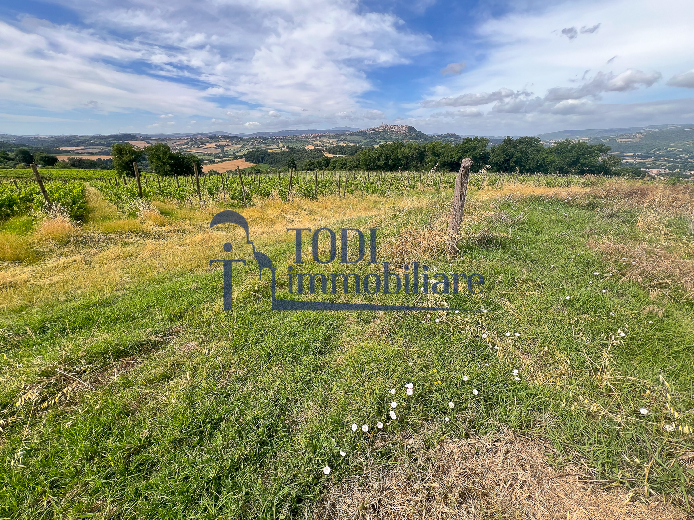 Casale da ristrutturare in posizione panoramica - Todi Immobiliare