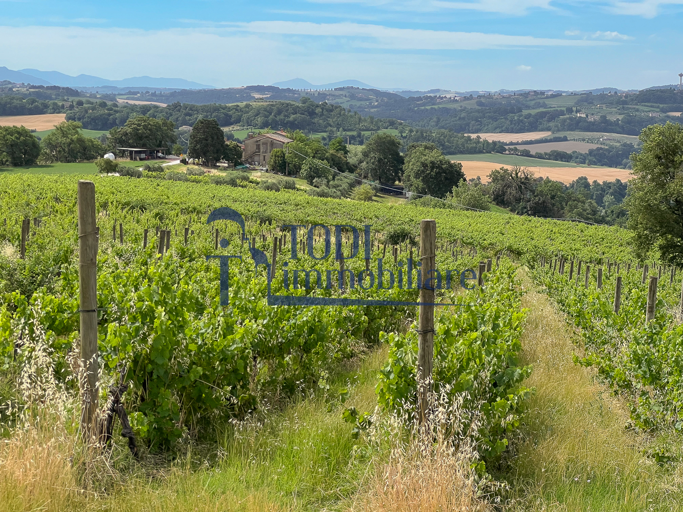 Casale da ristrutturare in posizione panoramica - Todi Immobiliare