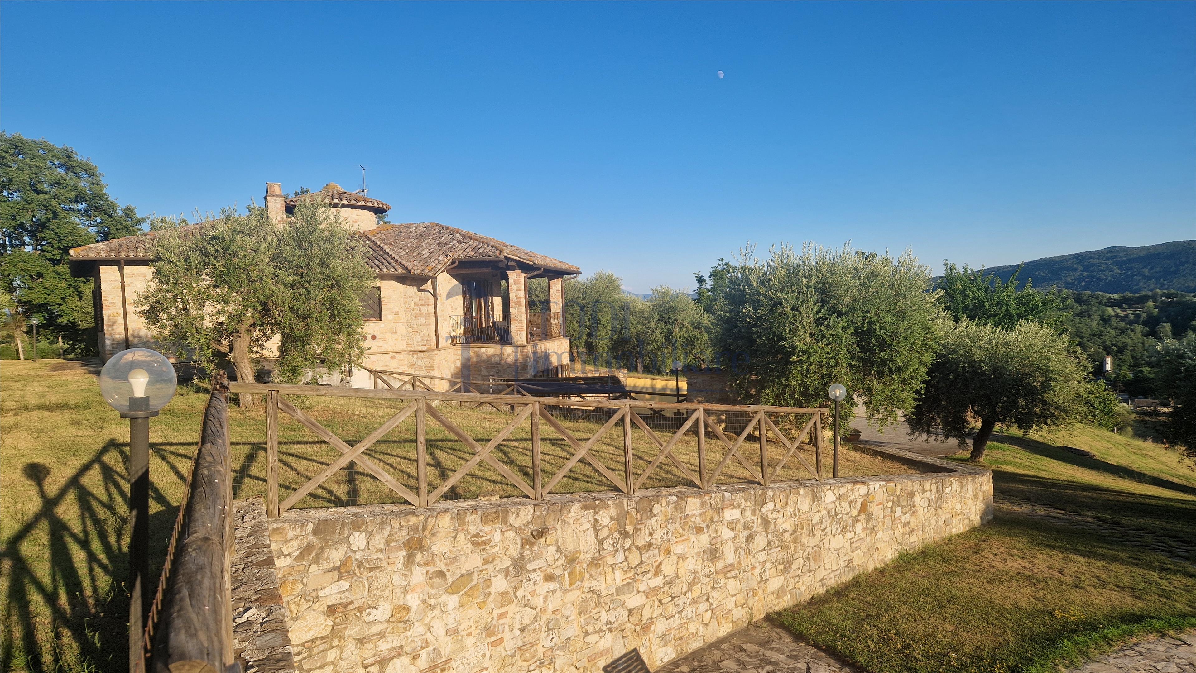 Amelia - Casale ristrutturato 250 mq con Piscina e oliveto - Todi Immobiliare