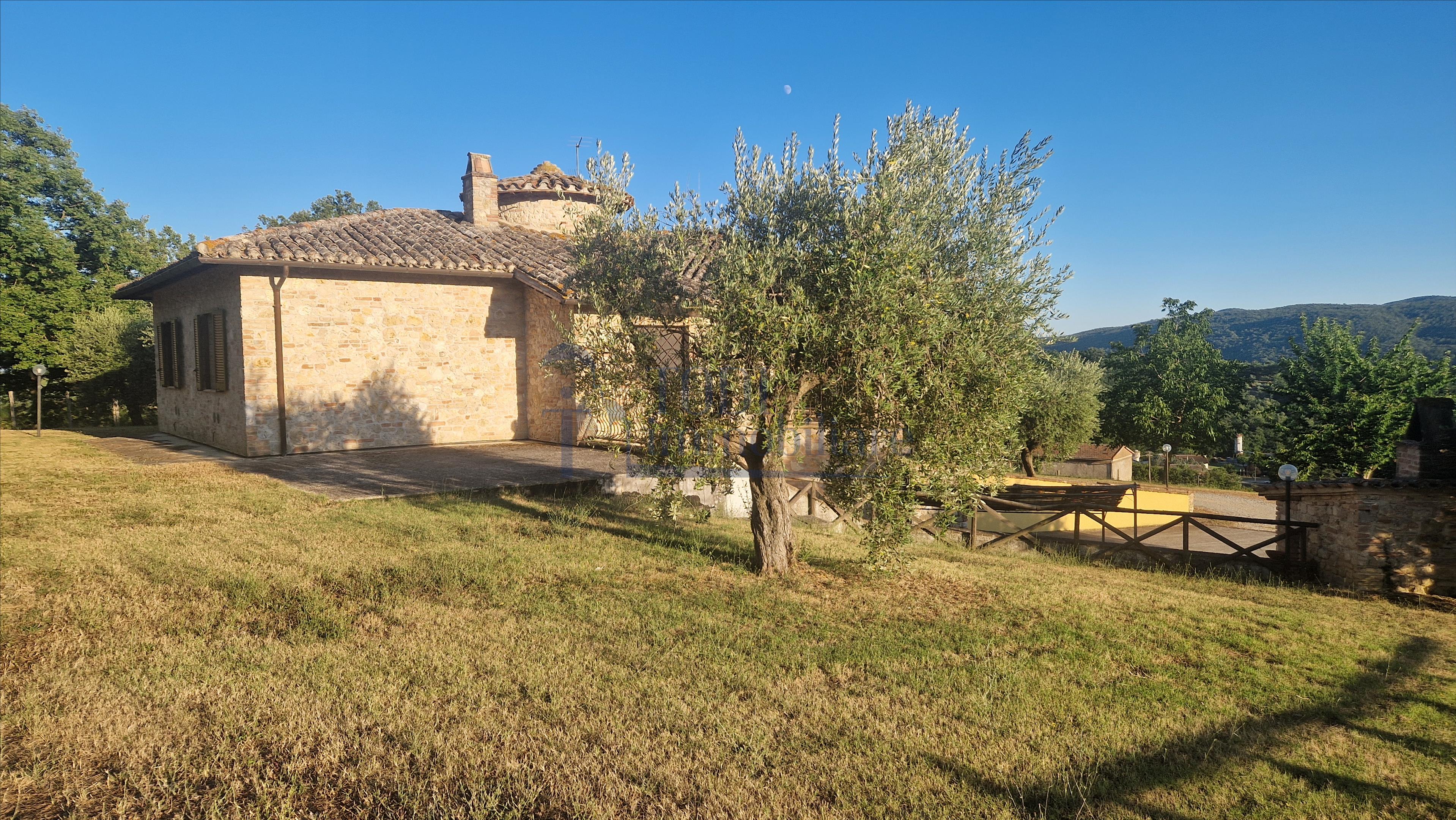 Amelia - Casale ristrutturato 250 mq con Piscina e oliveto - Todi Immobiliare